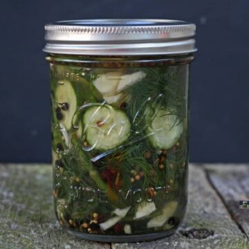 quick & easy homemade Refrigerator pickles