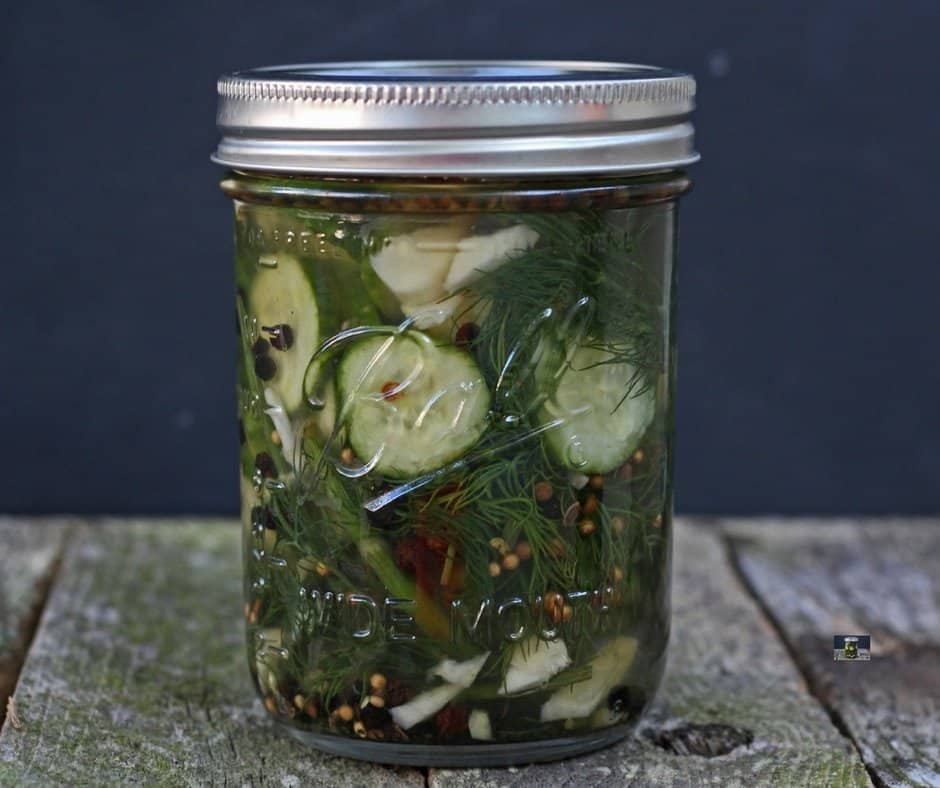 quick & easy homemade Refrigerator pickles