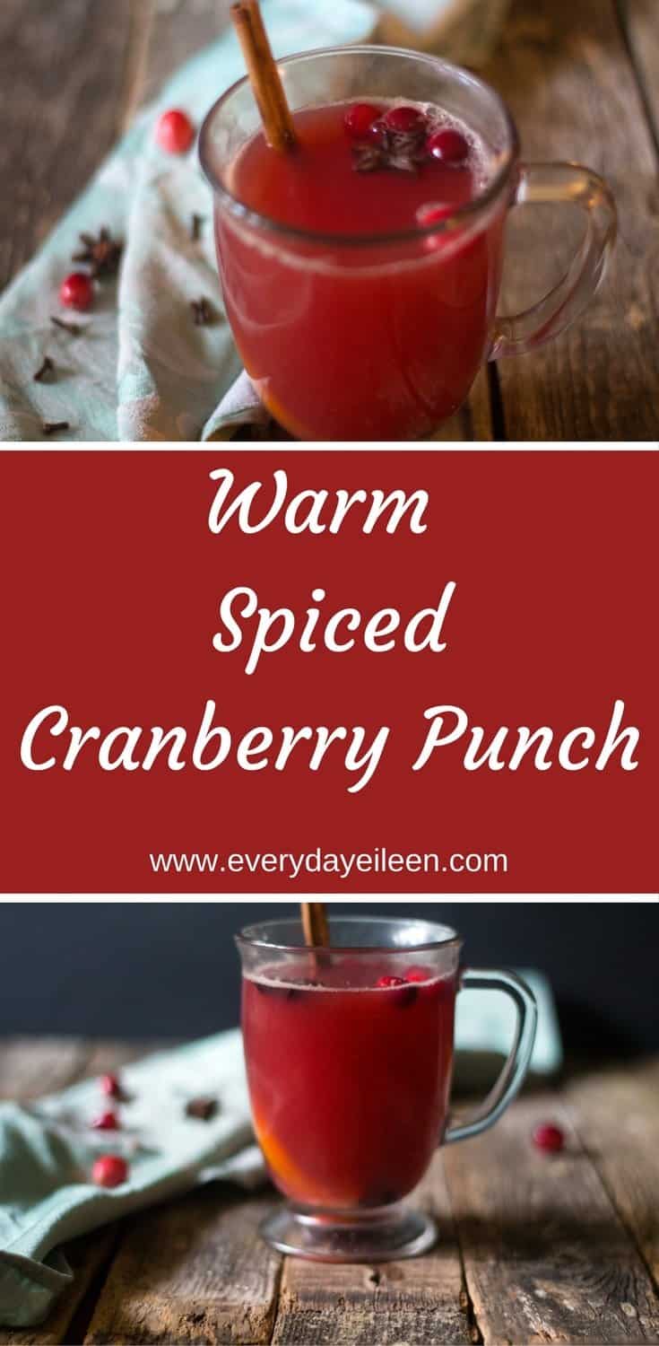 Warm Spiced Cranberry Punch