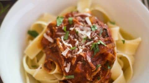 Instant Pork Ragu Recipe