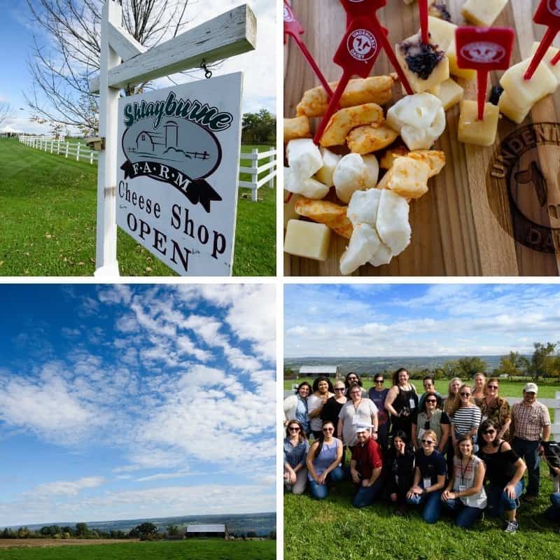 The #NYDairyTour2018 in Canandaigua NY at Shtayburne Farm with food bloggers and a variety of pictures from the tour.
