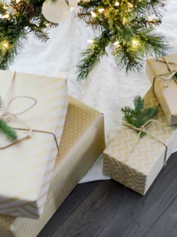 best gifts under  dollars