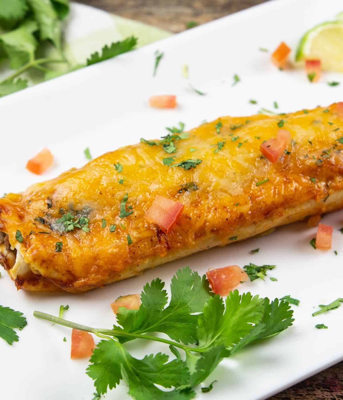 A beef enchilada in a plate with fresh cilantro and diced tomatoes