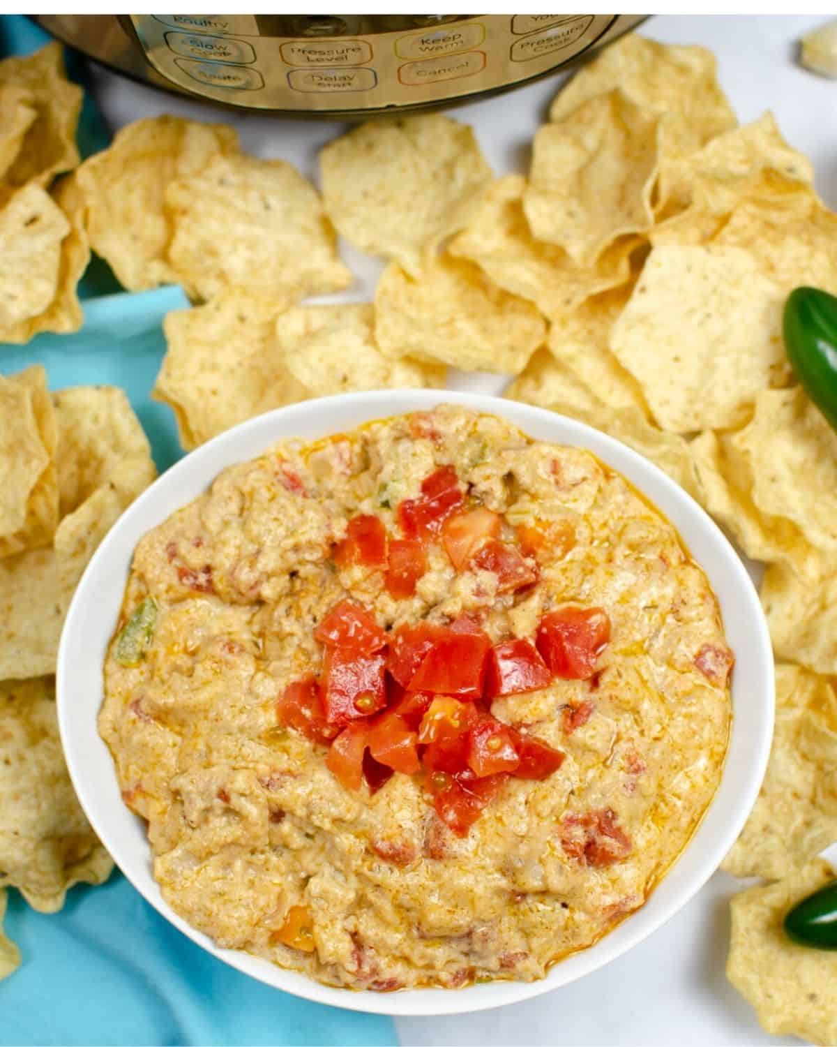 Easy Instant Pot Queso Recipe | Everyday Eileen