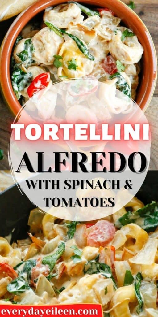 Tortellini Alfredo with Spinach Everyday Eileen