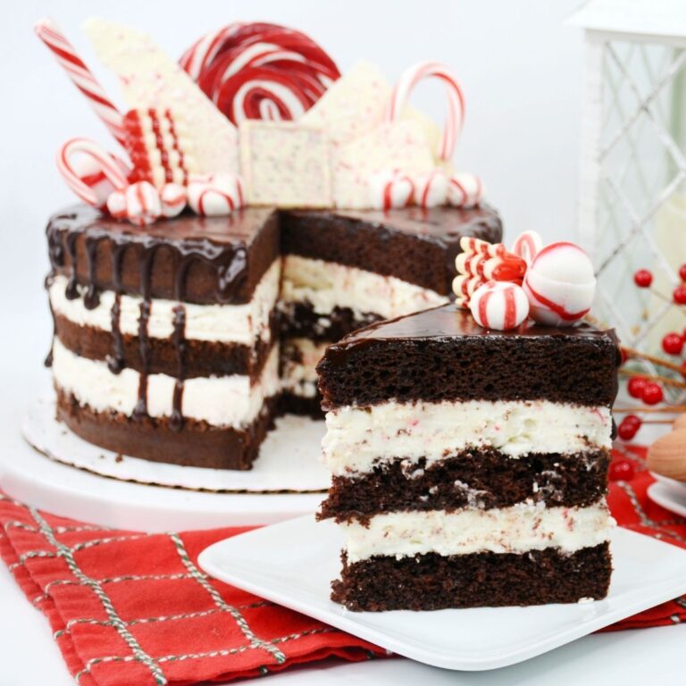 Chocolate Candy Cane Cake - Everyday Eileen