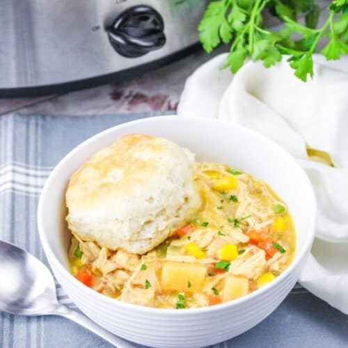 Slow Cooker Chicken or Turkey Pot Pie Crockpot Recipe