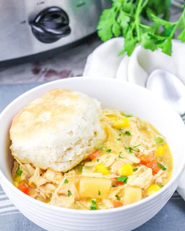 Crock Pot Chicken Pot Pie Recipe - Everyday Eileen