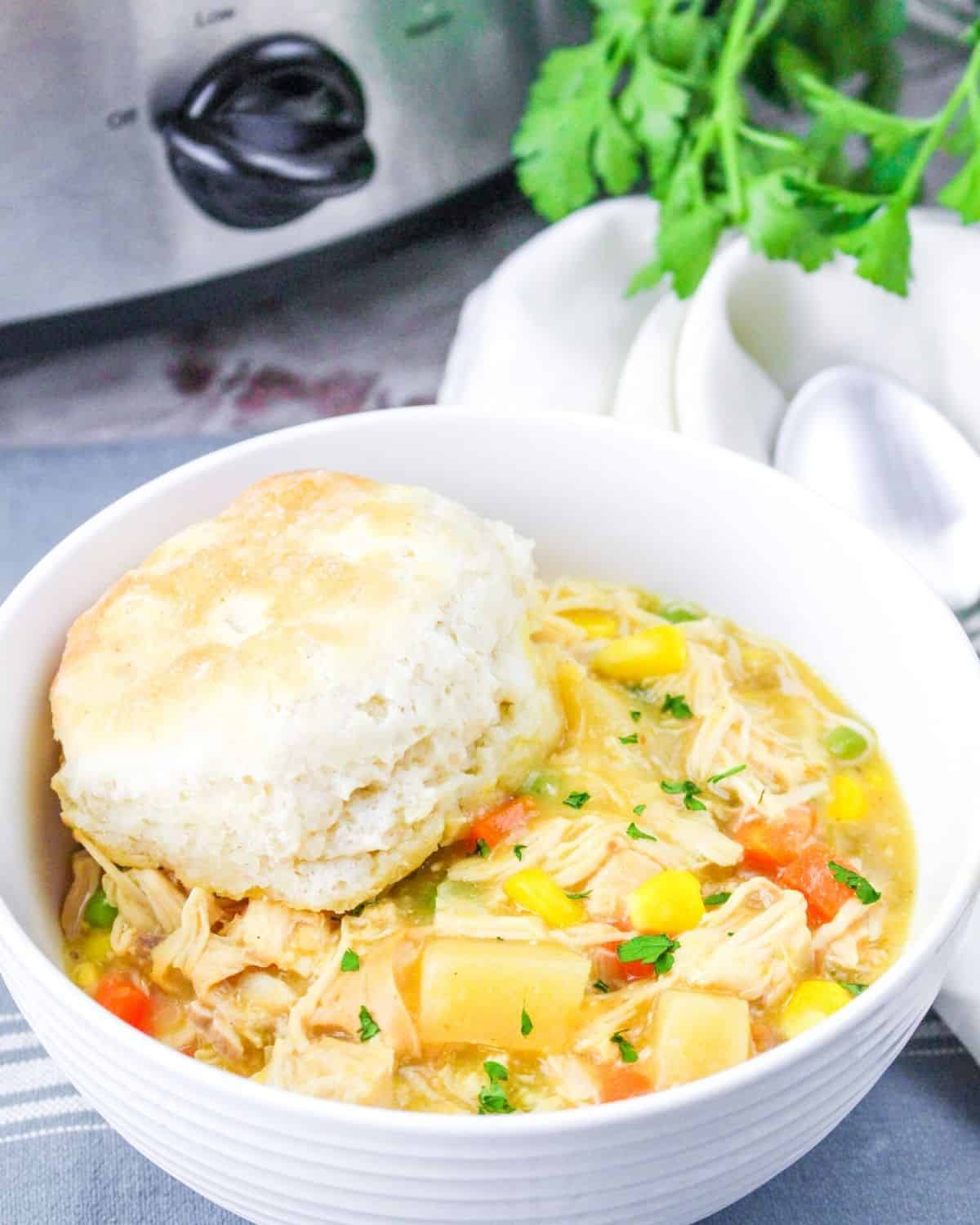 Slow Cooker Chicken Pot Pie · Easy Family Recipes