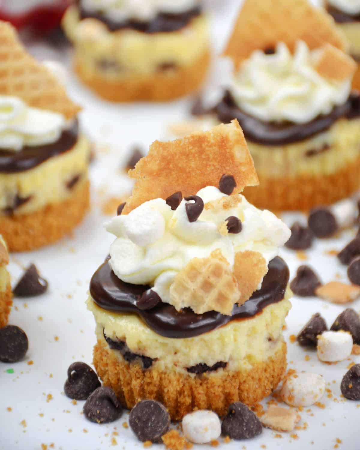Individual S'mores cheesecakes with marshmallow topping.
