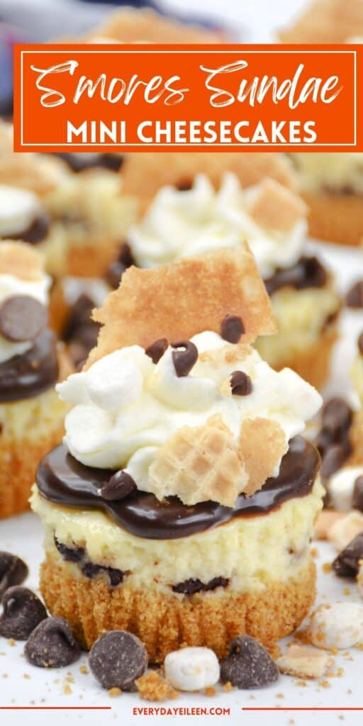 A pinterest pin with text overlay for mini s'mores cheesecakes.