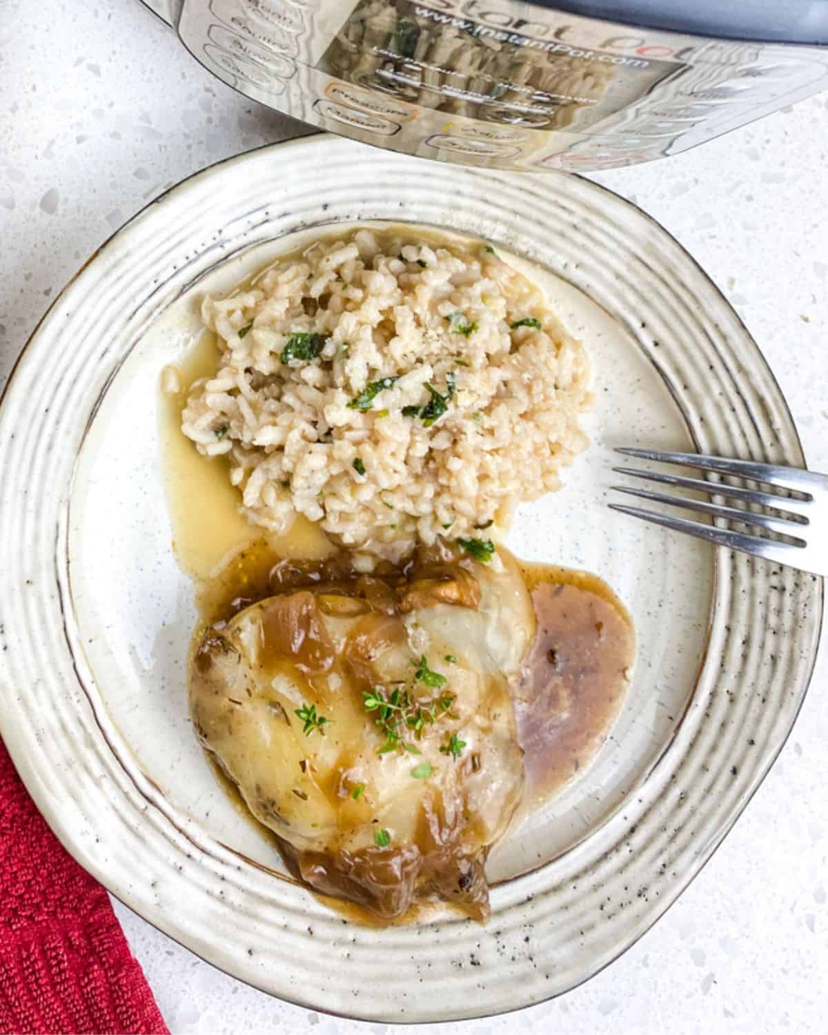 An overhead view of a white plate with cooked chicken topped with white cheese and a brown onion gravy with rice on the side.