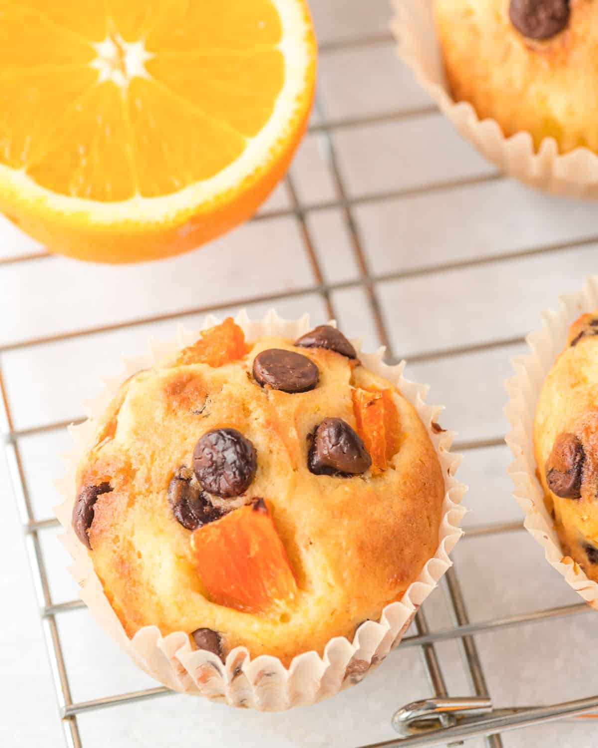 A wire rack with a muffin with chocolate chips and orange chunks.