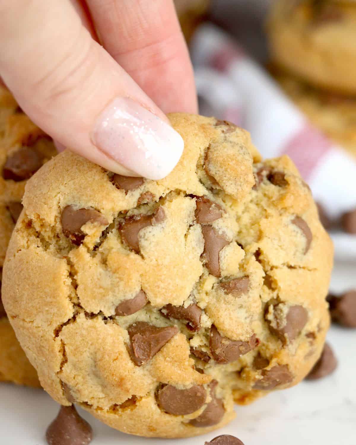 A chocolate chip cookie being held in a hand. 