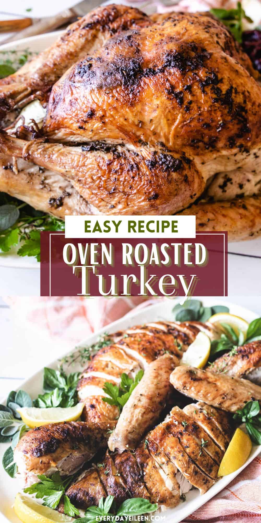 Easy Oven Roasted Turkey - Everyday Eileen