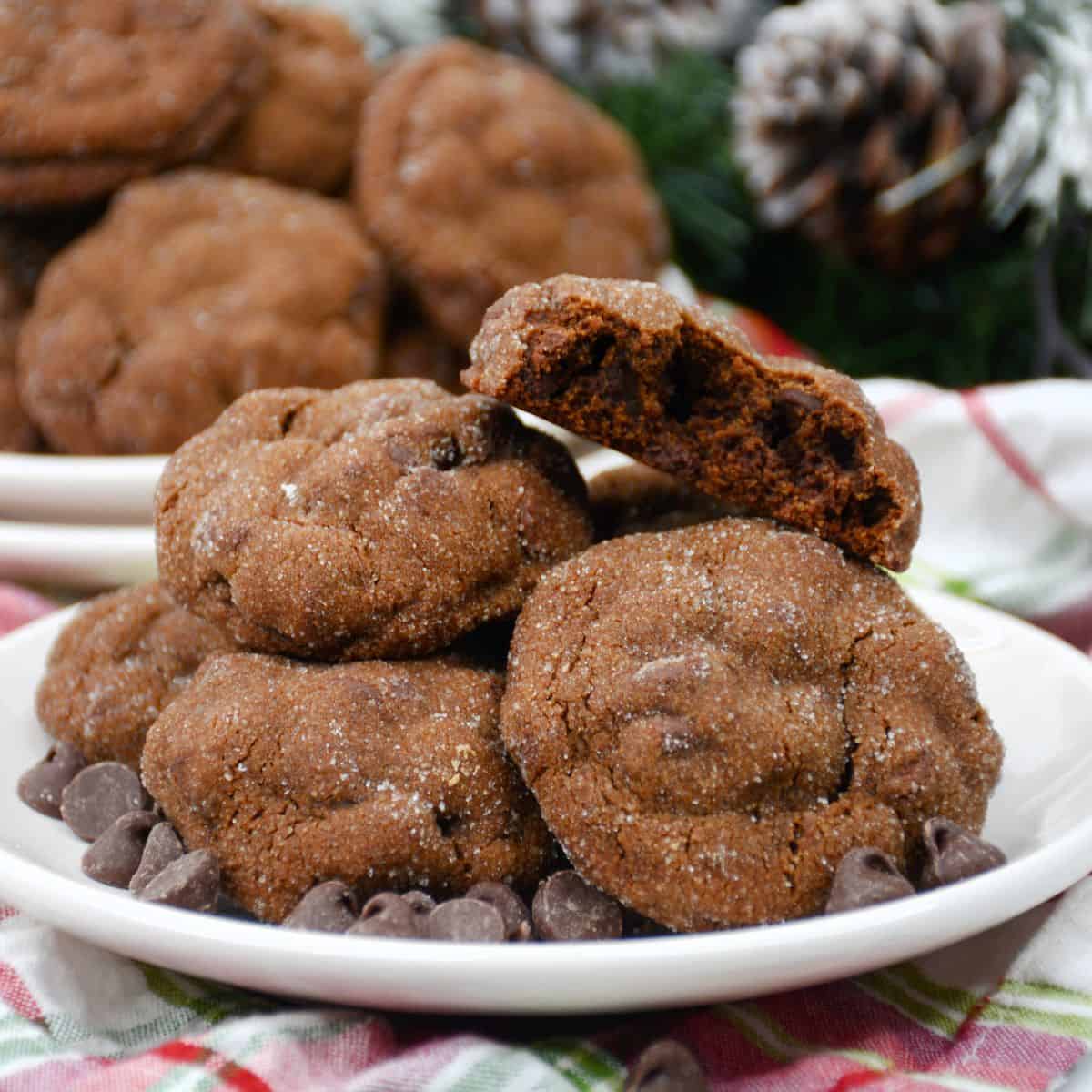 Chocolate gingerbread cookies with chocolate chips on a plate.