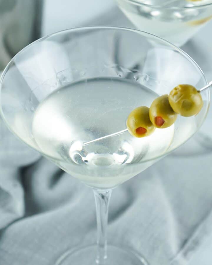 How to Make a Gin Martini Everyday Eileen