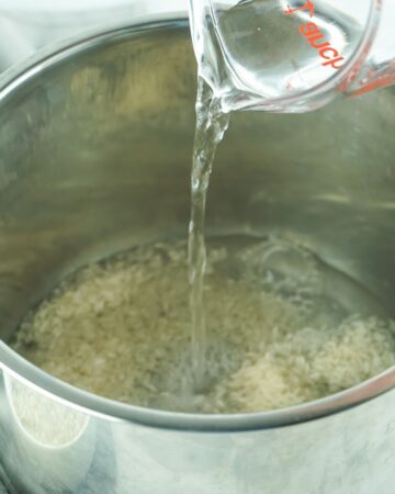 Water and white rice added to the instant pot to make easy whit rice.
