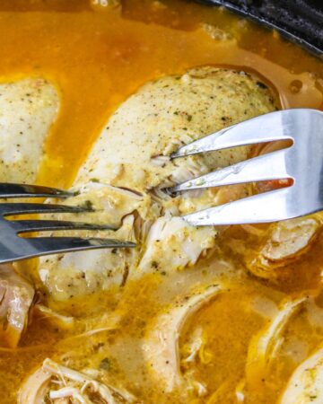 Cooked chicken breasts being shredded with a fork to make potatoes and chicken.