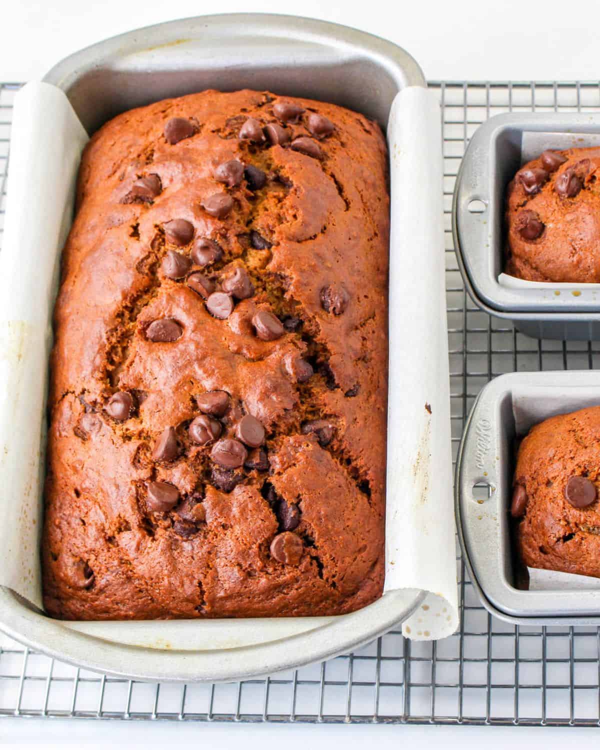 Banana Pumpkin bread with chocolate chips in loaf pans.