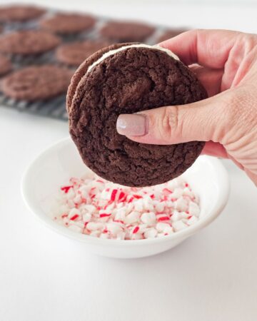 A chocolate sandwich cookie with cream. It is being dipped into crushed peppermint pieces.