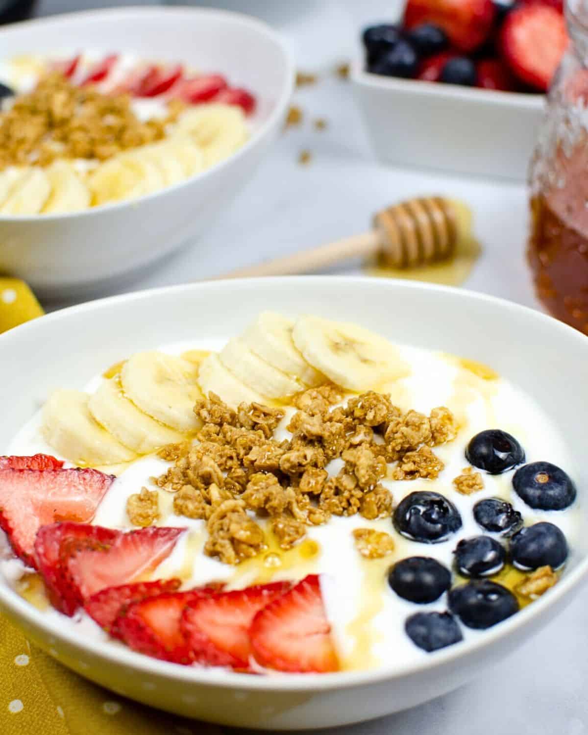 A bowl of yogurt topped with fruit made in the Instant Pot.