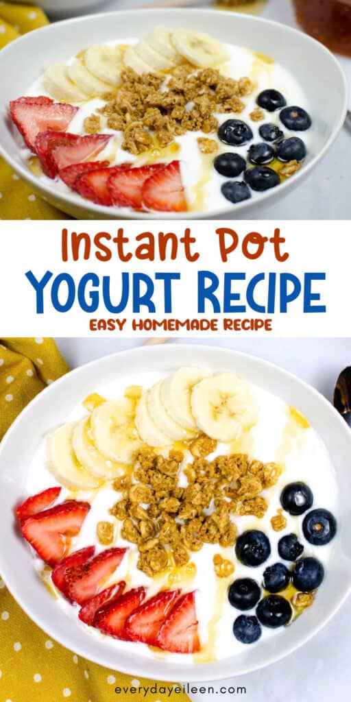 Instant pot yogurt recipe pinterrest pin