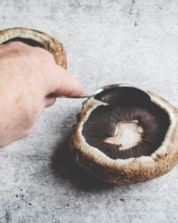 A portobello mushroom having the