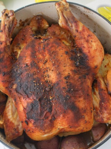 A roasted chicken and potatoes made in the Dutch oven.