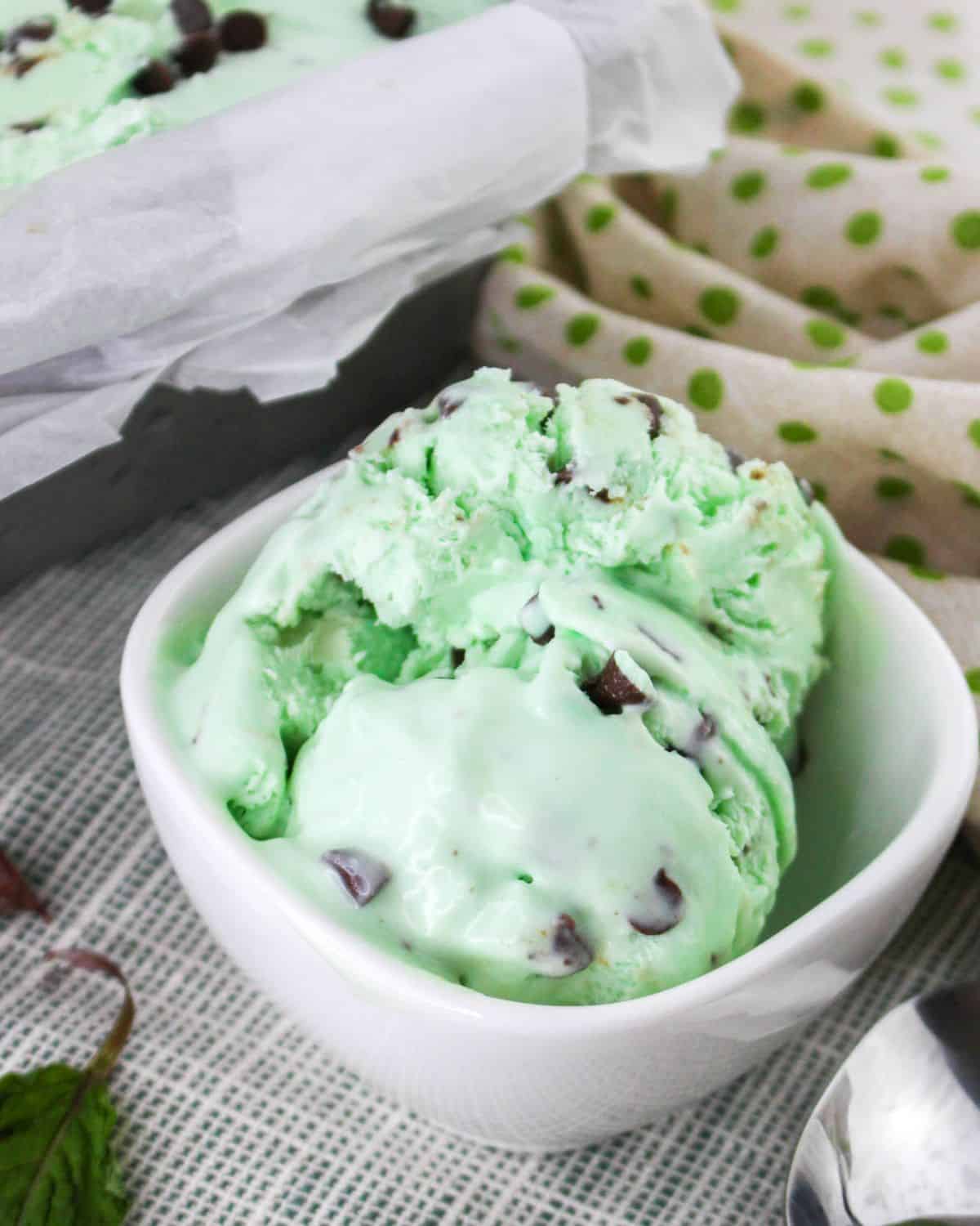 A white bowl filled with a grasshopper homemade ice cream.