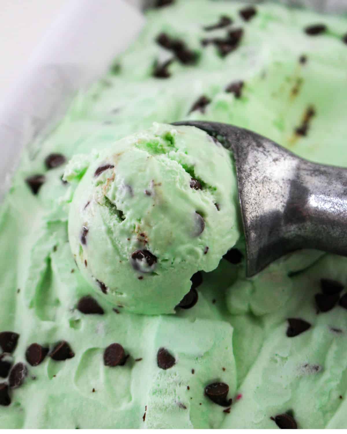 Homemade peppermint ice cream with chocolate chips being scooped out.