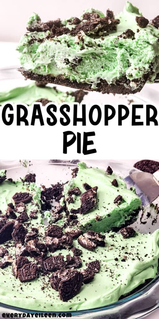 Grasshopper pie pinterest pin with text overlay.