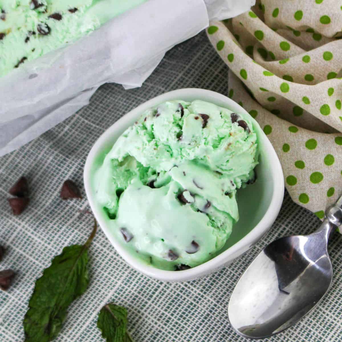 No churn grasshopper ice cream in a bowl with mint leaves on the side.