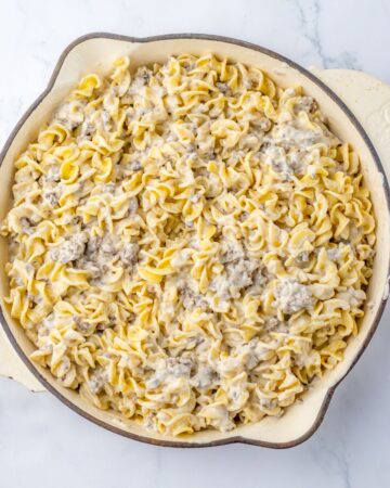 Cooked egg noodles in a creamy french onion sauce and ground beef.