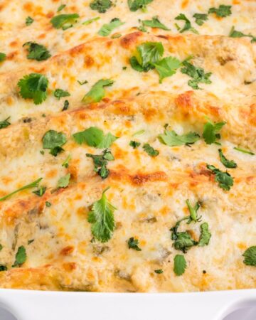 Chicken enchiladas made with a creamy sour cream sauce in a casserole dish.