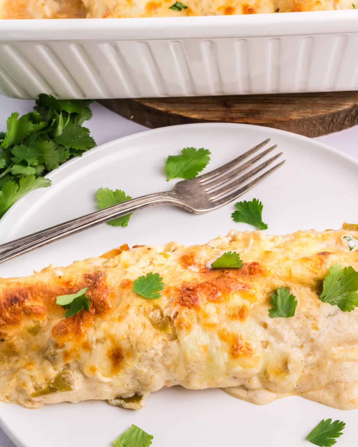 A white plate with sour cream chicken enchiladas topped with a creamy sauce, cheese, and chopped cilantro.