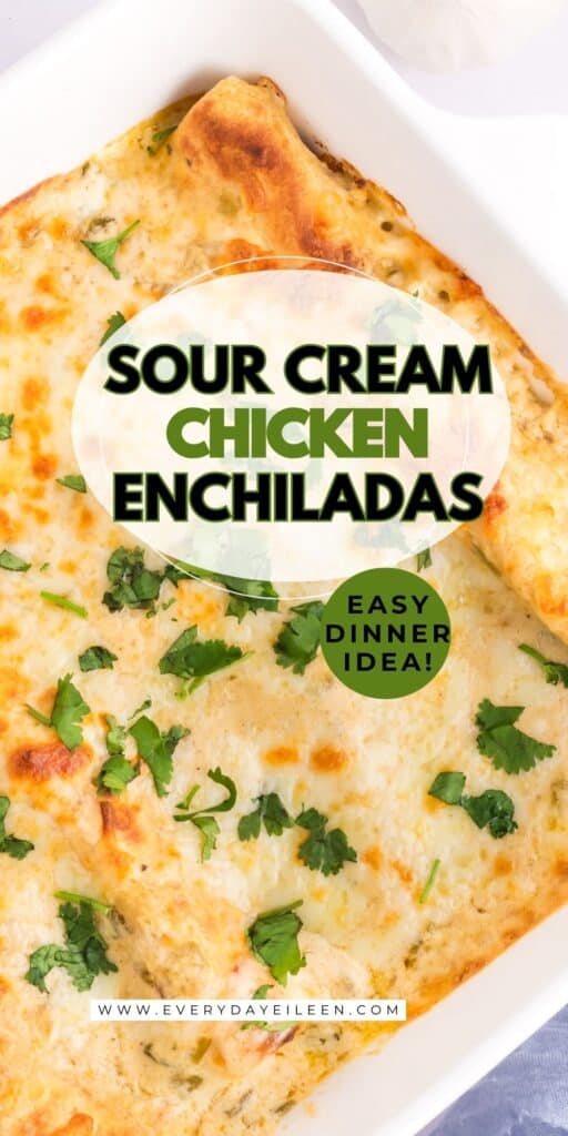 Pinterest pin with text overlay for sour cream chicken enchiladas.