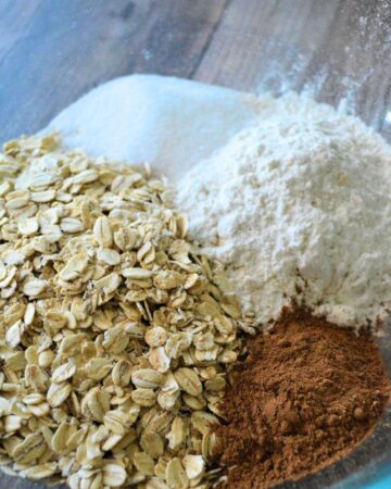 A bowl with a dry mixture of ingredients to make cranberry pumpkin oat bars.