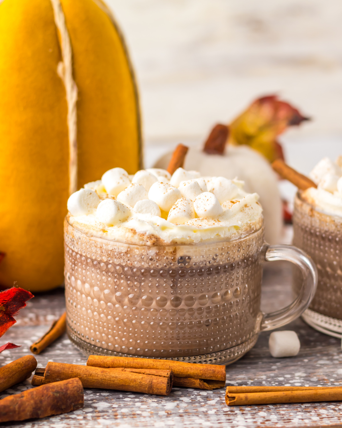 Crockpot pumpkin spice hot chocolate.