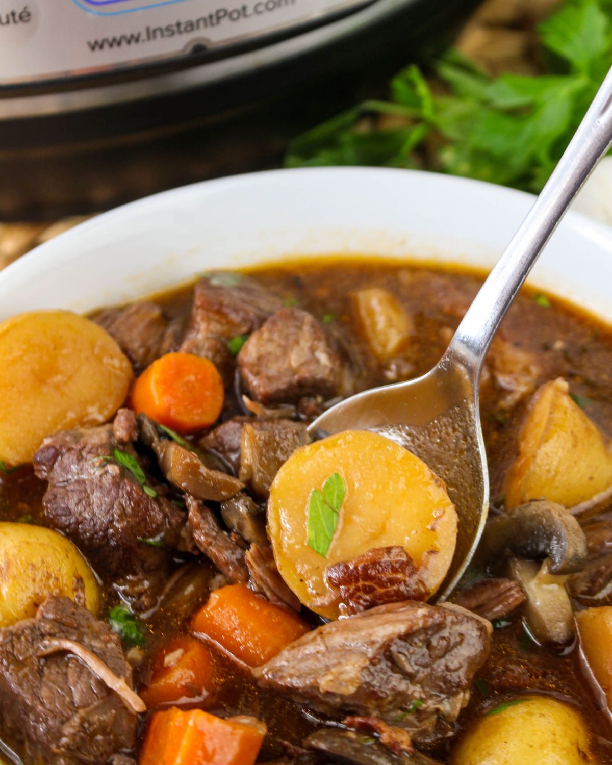 A bowl of Beef Bourguignon in front of an Instant Pot. 