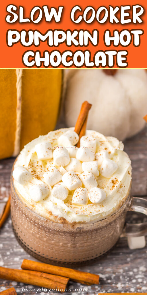 Slow cooker hot chocolate pinterest pin;