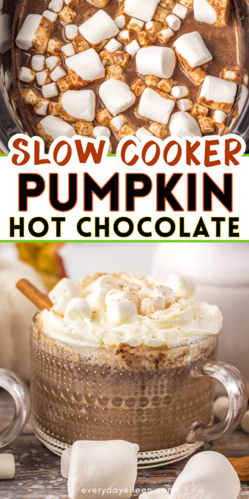 Slow Cooker Pumpkin Hot Chocolate Pinterest Pin.