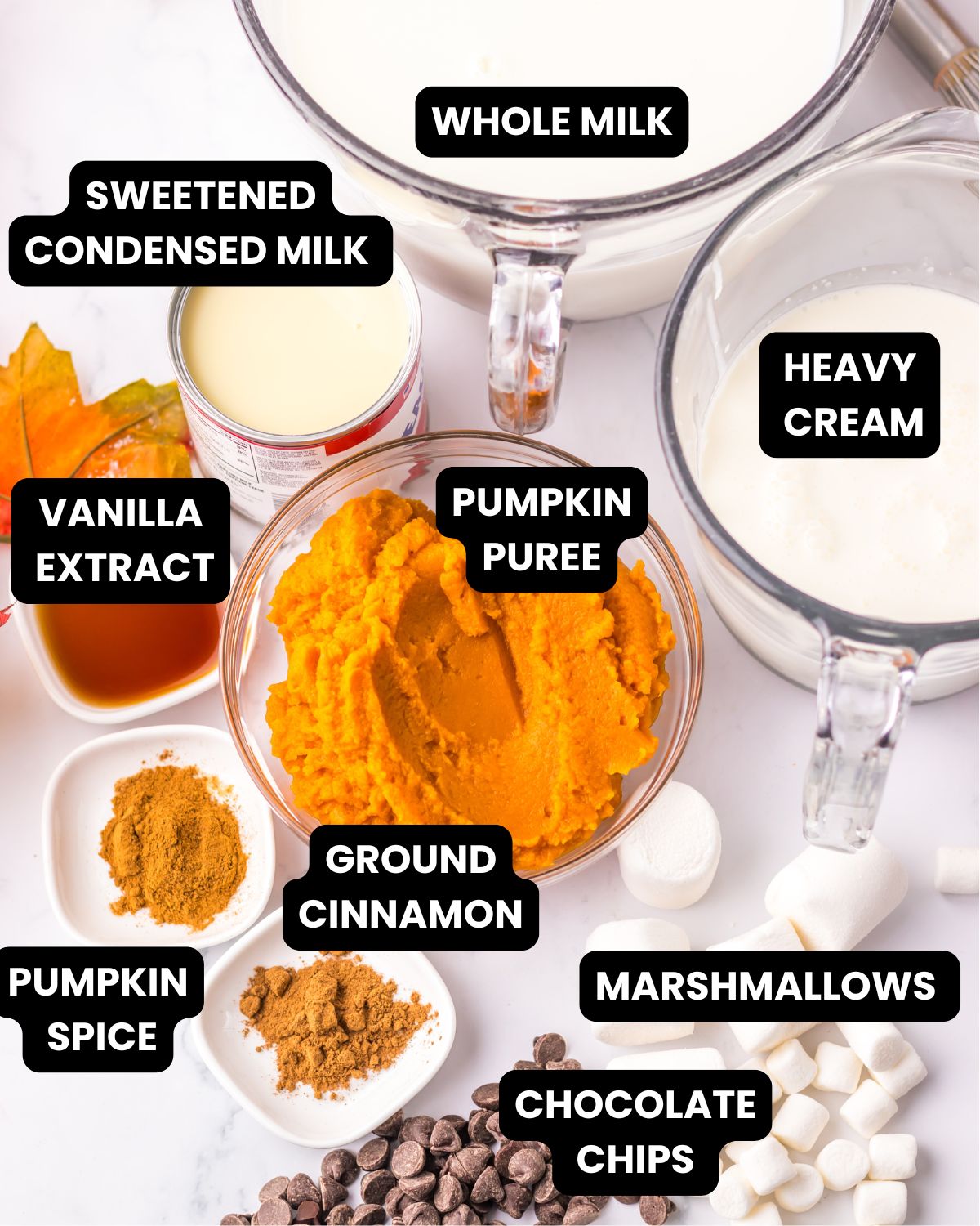 Ingredients with text overlay to make Slow cooker pumpkin hot chocolate.