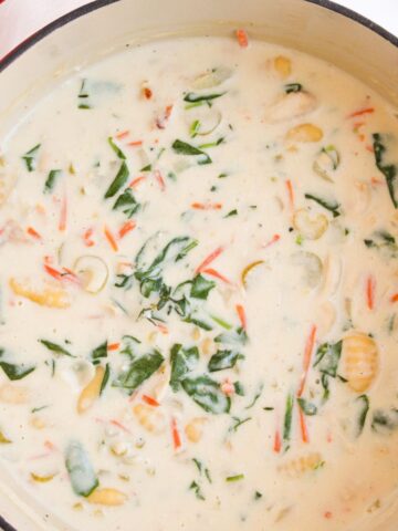 Chicken gnocchi soup