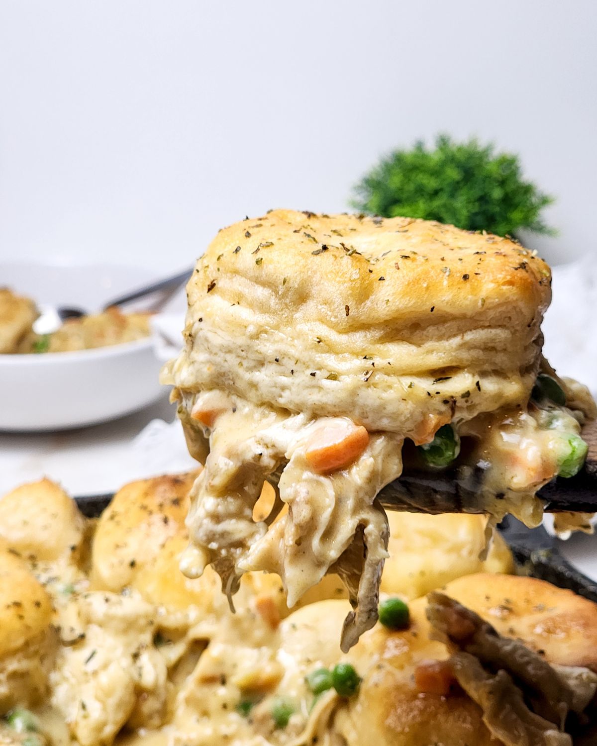 Chicken pot pie topped with biscuits being picked up to a plate. 