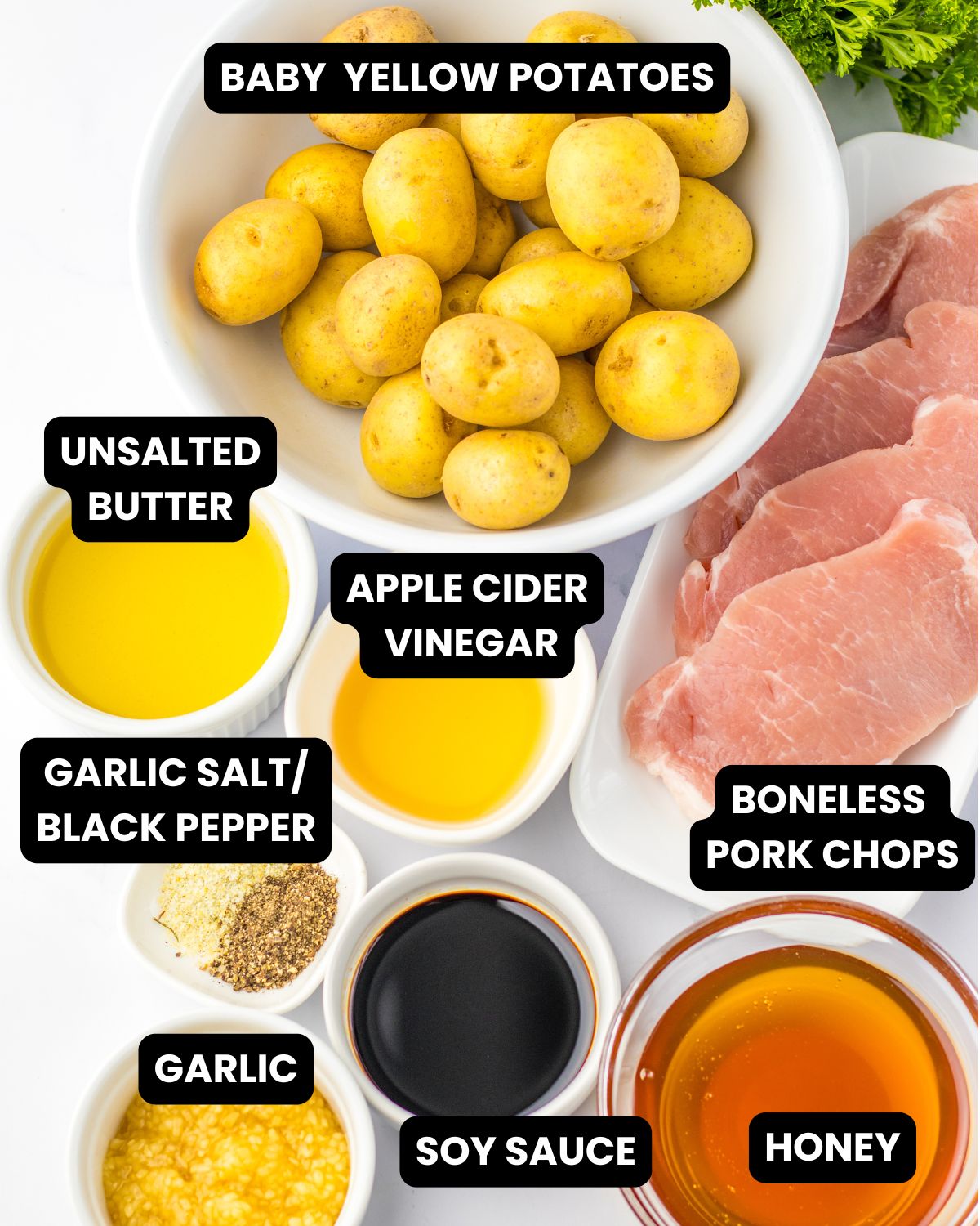 Ingredients to make pork chops with a honey garlic sauce.