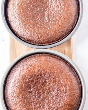 Chocolate Cake in two cake pans after being baked. 