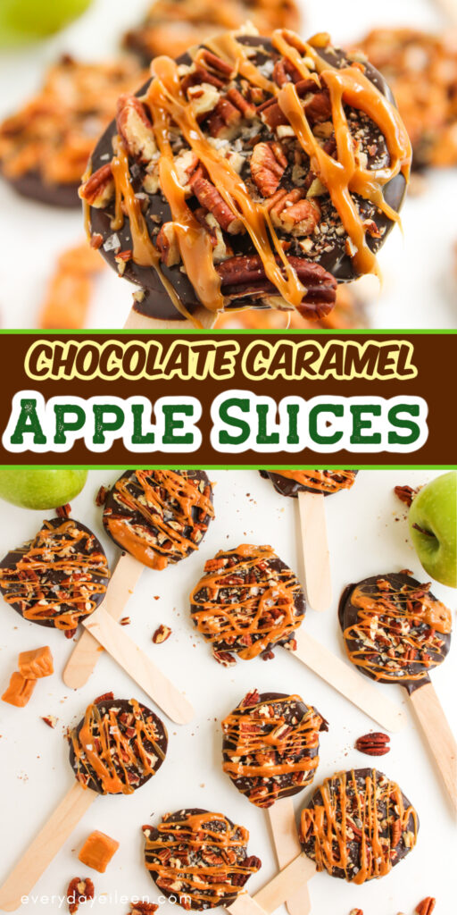 Apple Slices dipped in chocolate and drizzled in caramel and pecans pinterest pin.