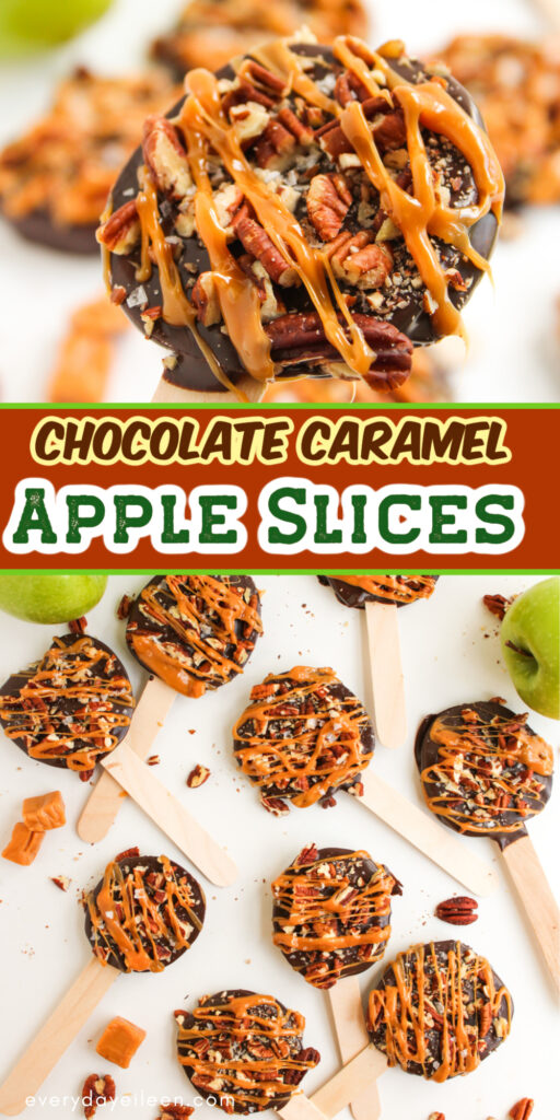 Pinterest pin with text overlay for Turtle Chocolate Caramel Apple Slices Pinterest Pin.